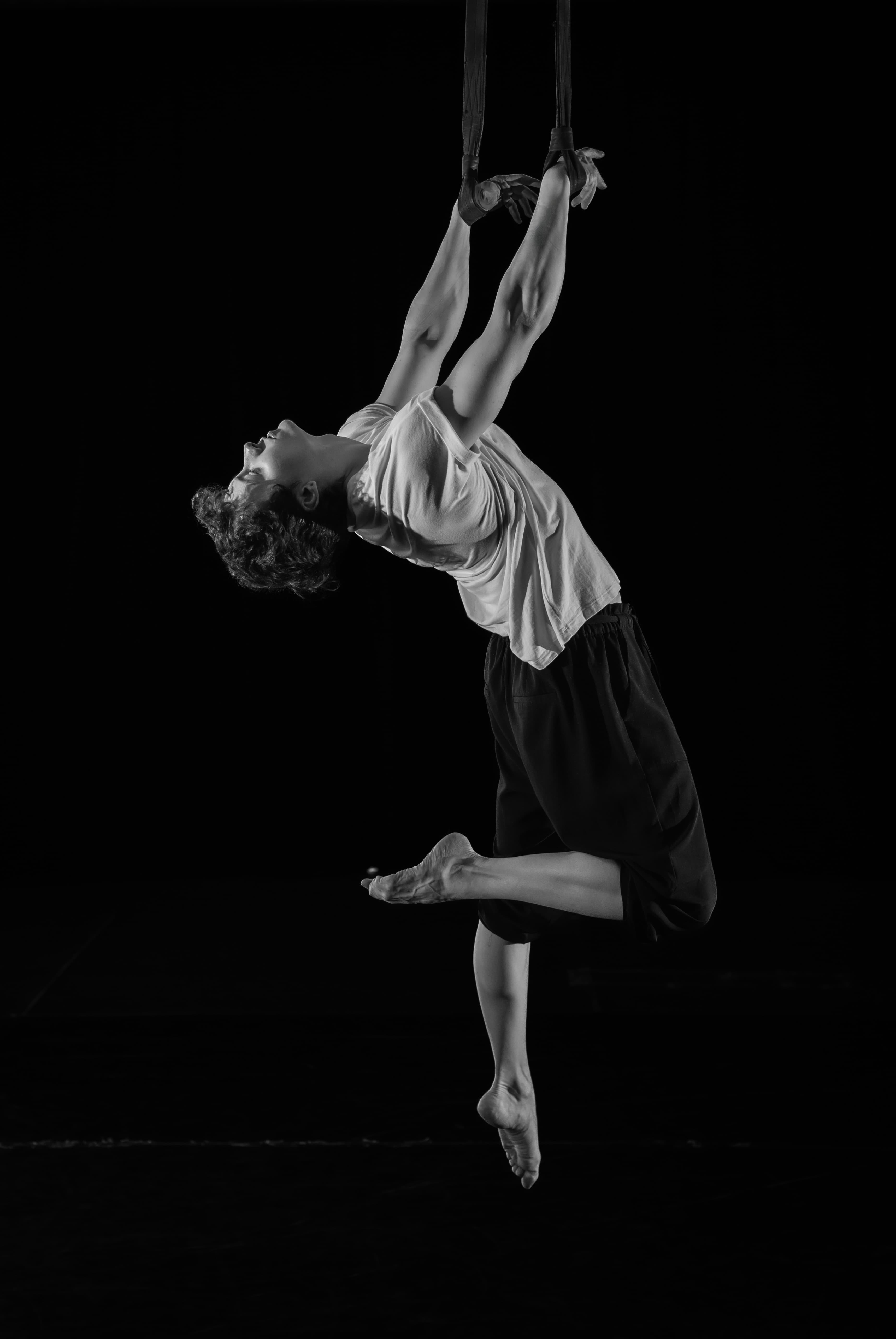 Image from alexmillercircus.com